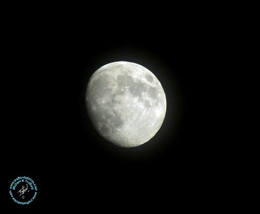 Moon 8T46D-07.JPG